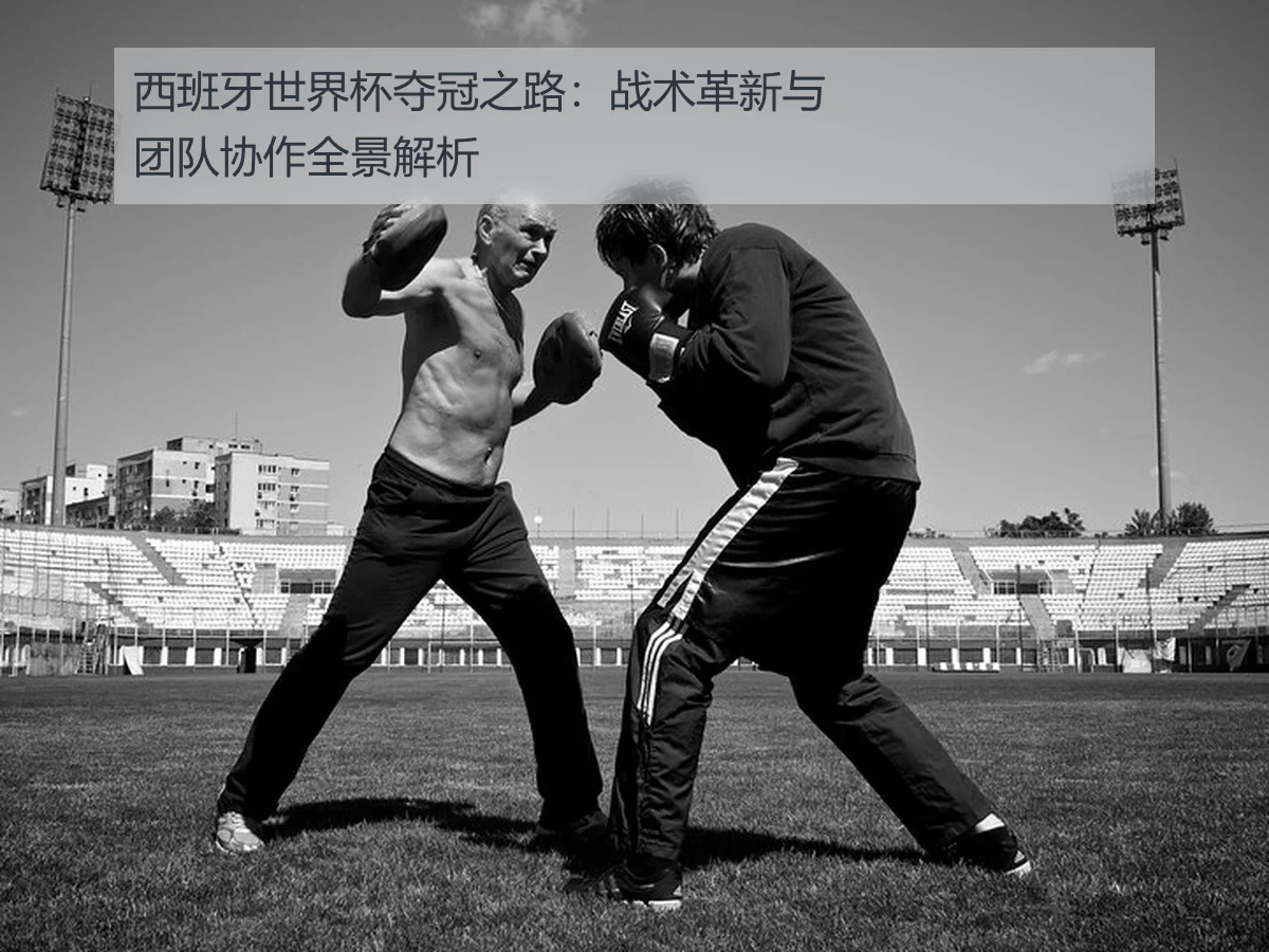 西班牙世界杯夺冠之路:战术革新与团队协作全景解析